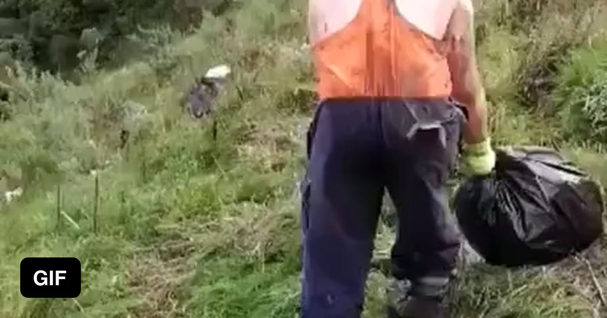 Real life ragdoll - 9GAG