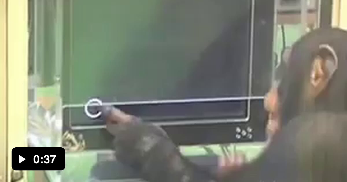 Chimps outperform humans at memory task - 9GAG