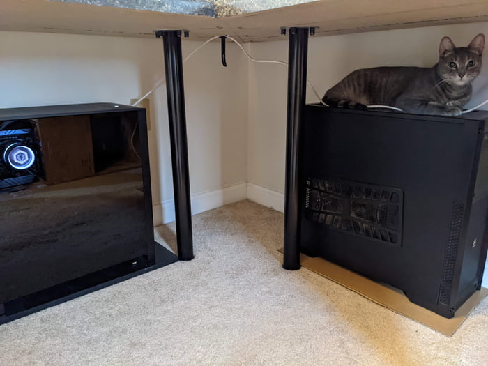 The key to keeping your cat off your PC: a decoy case - 9GAG