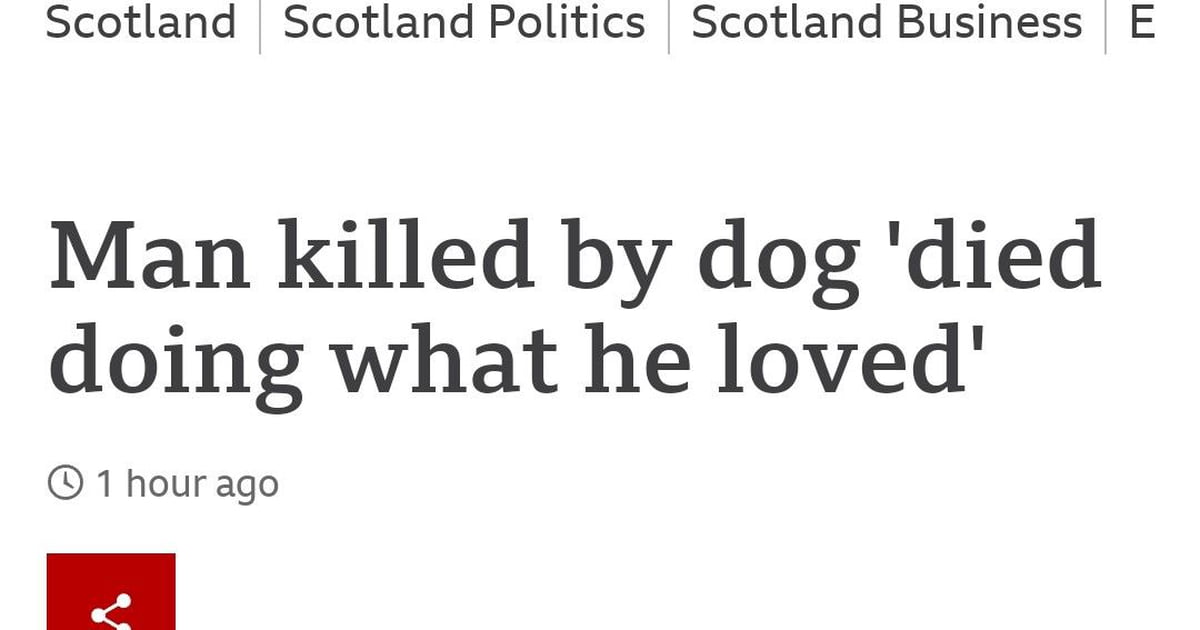 Who loves being killed by a dog? - 9GAG