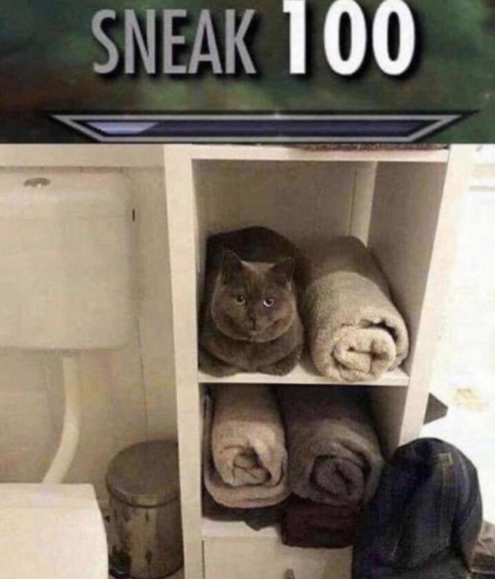 Sneaky Sneak 9gag