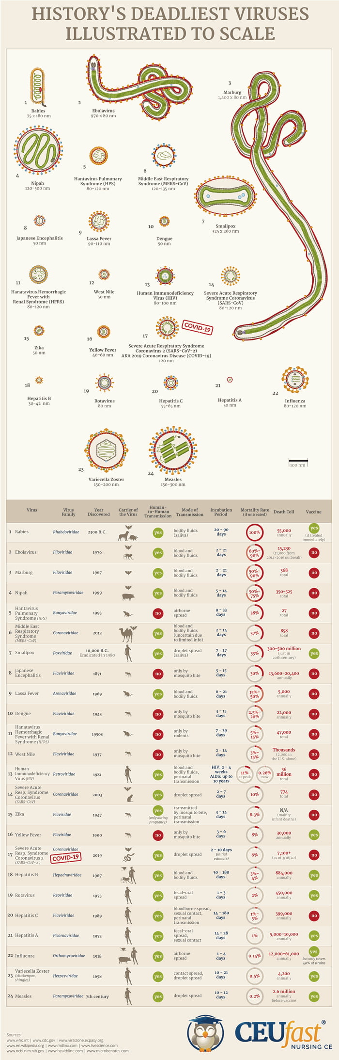 illustration-and-comparison-chart-of-the-deadliest-viruses-in-history