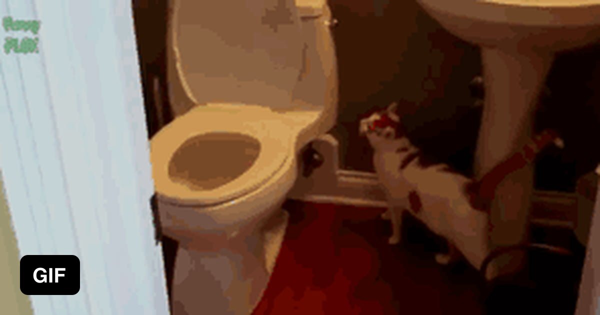 Water go down the hole 9GAG