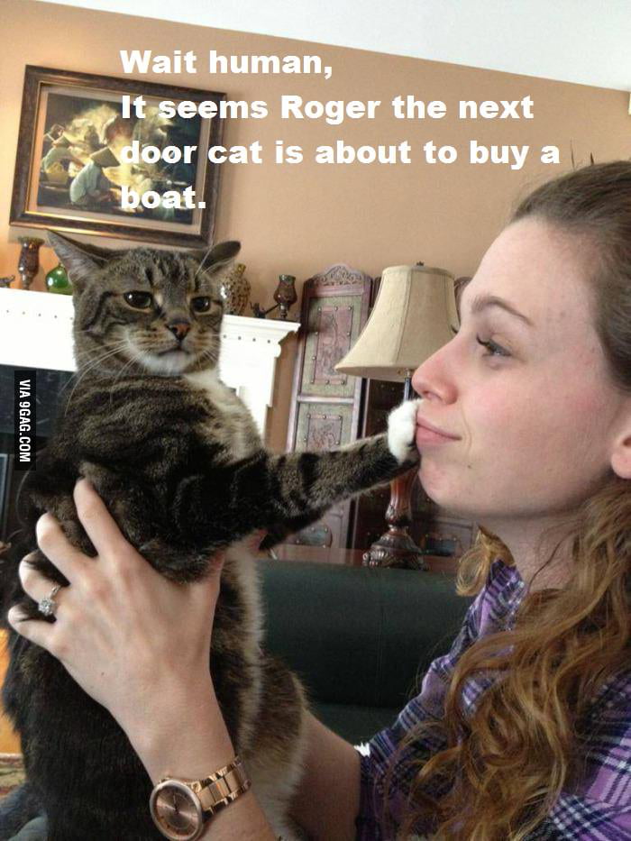 maybe i should buy a boat