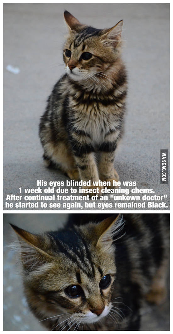 Black Eyes - 9GAG