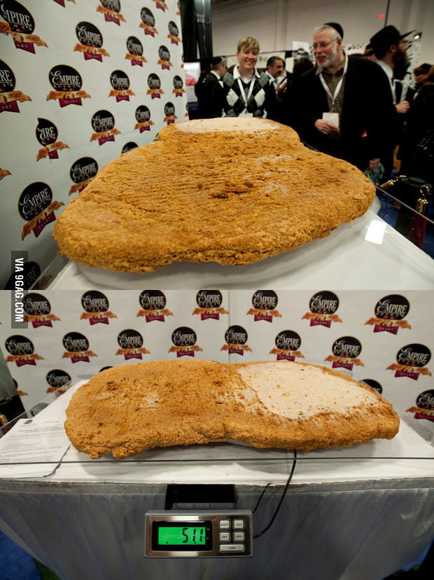 world-s-biggest-chicken-nugget-weighs-over-50-pounds-9gag