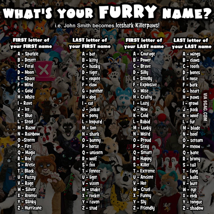 what-s-your-furry-name-9gag