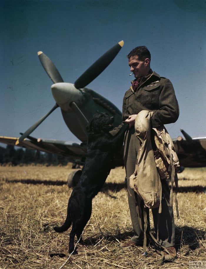 Wing Commander James Jonnie Johnson With His Labrador Sally And