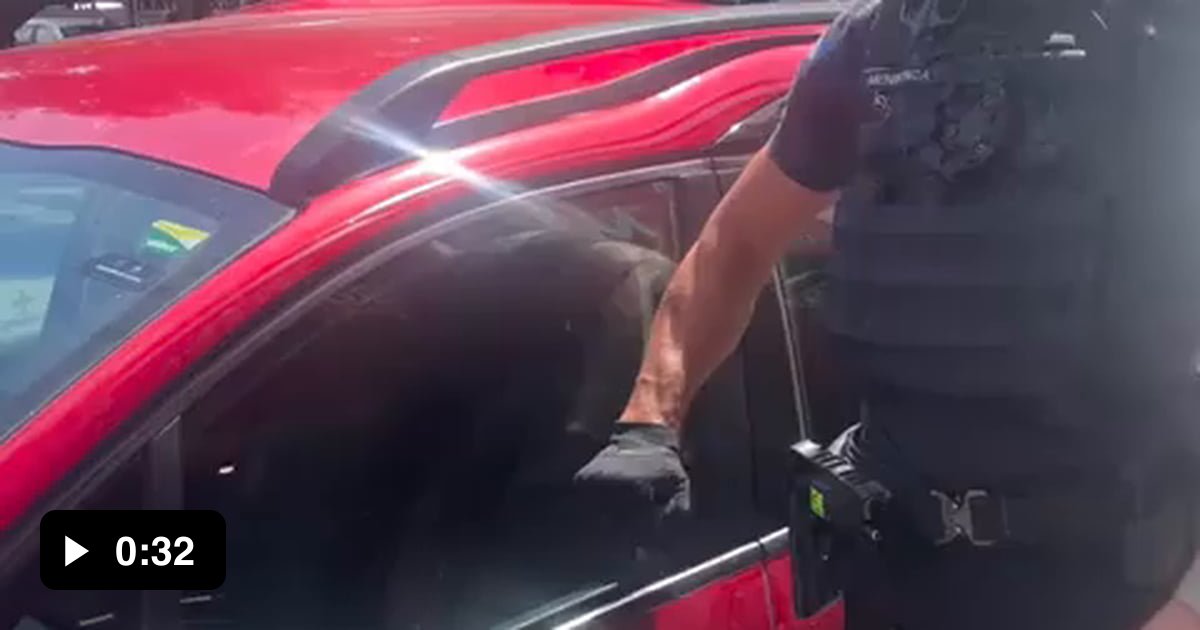 Police break car window to rescue dog left inside on a hot day. Great ...