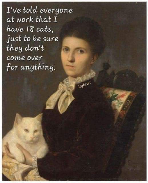 Cat - 9GAG