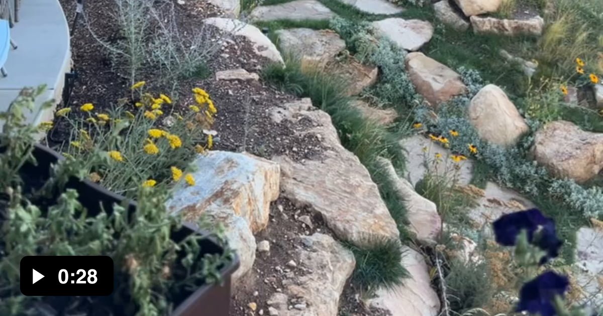 Instructions unclear on around lol, everybody confused but at least