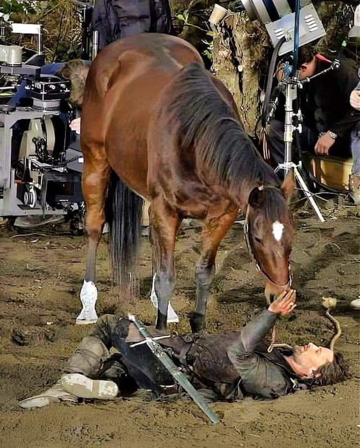 Viggo bonded so much with the horse he rode in the Lord of the Rings ...