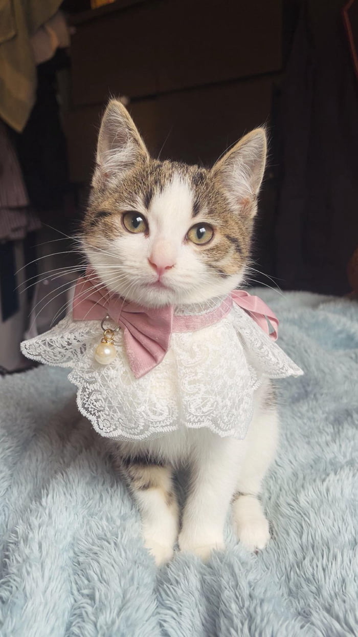 SHES SO CUTE DTOP - 9GAG