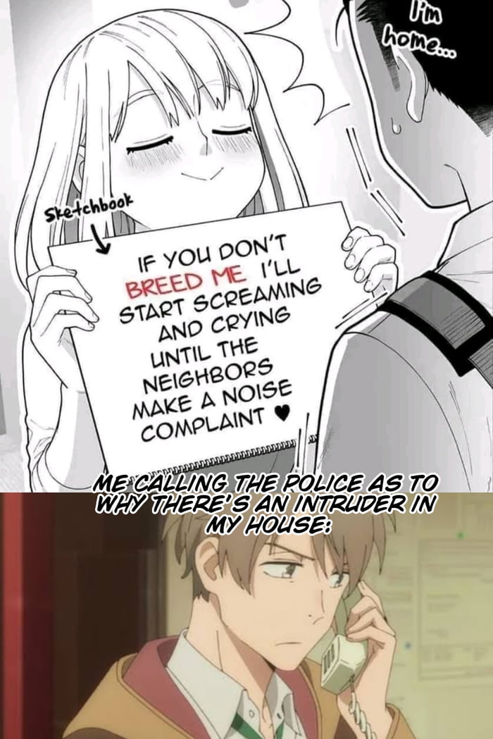 How To Make A Noise Complaint Toronto