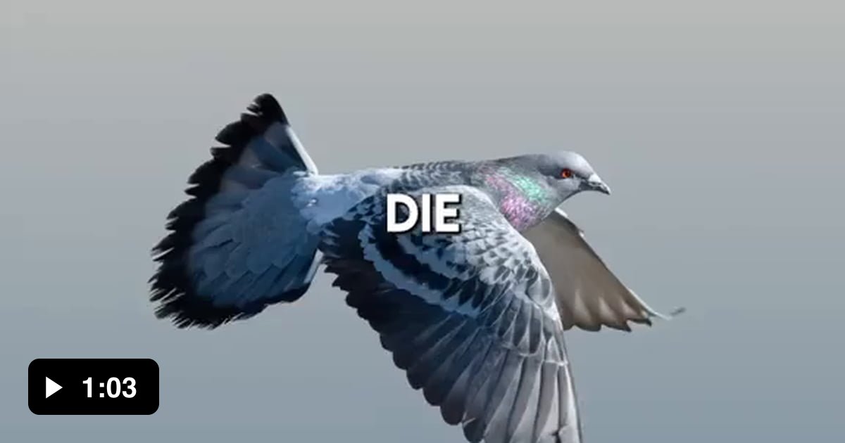 t u b e g a l o r e