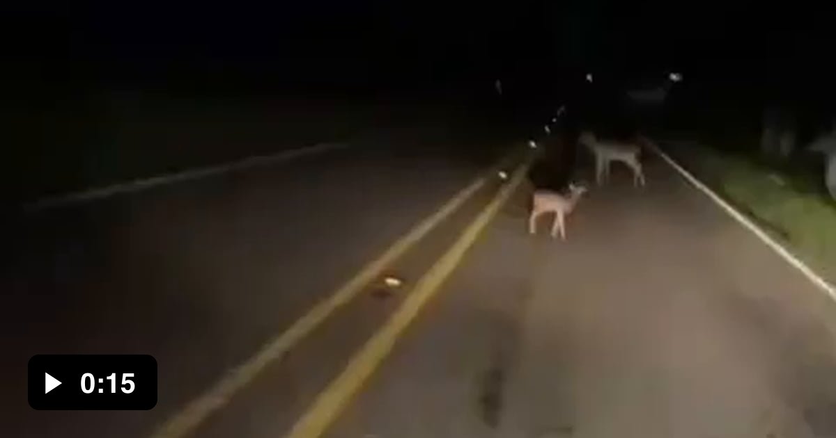 Attempted insurance fraud - 9GAG