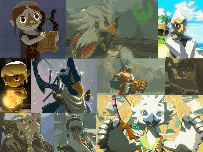 Why do rito look like different bird species if they are the same ...