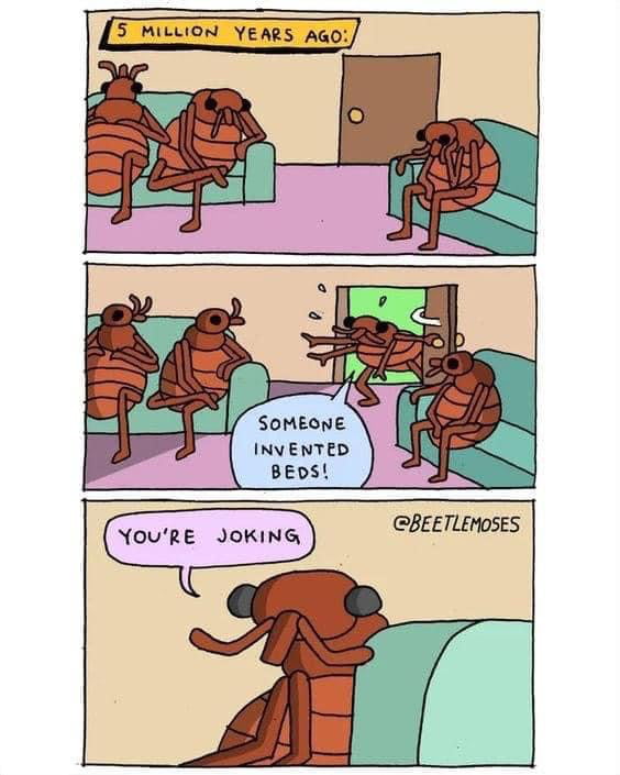 What did BedBugs use to do before beds were invented? - 9GAG