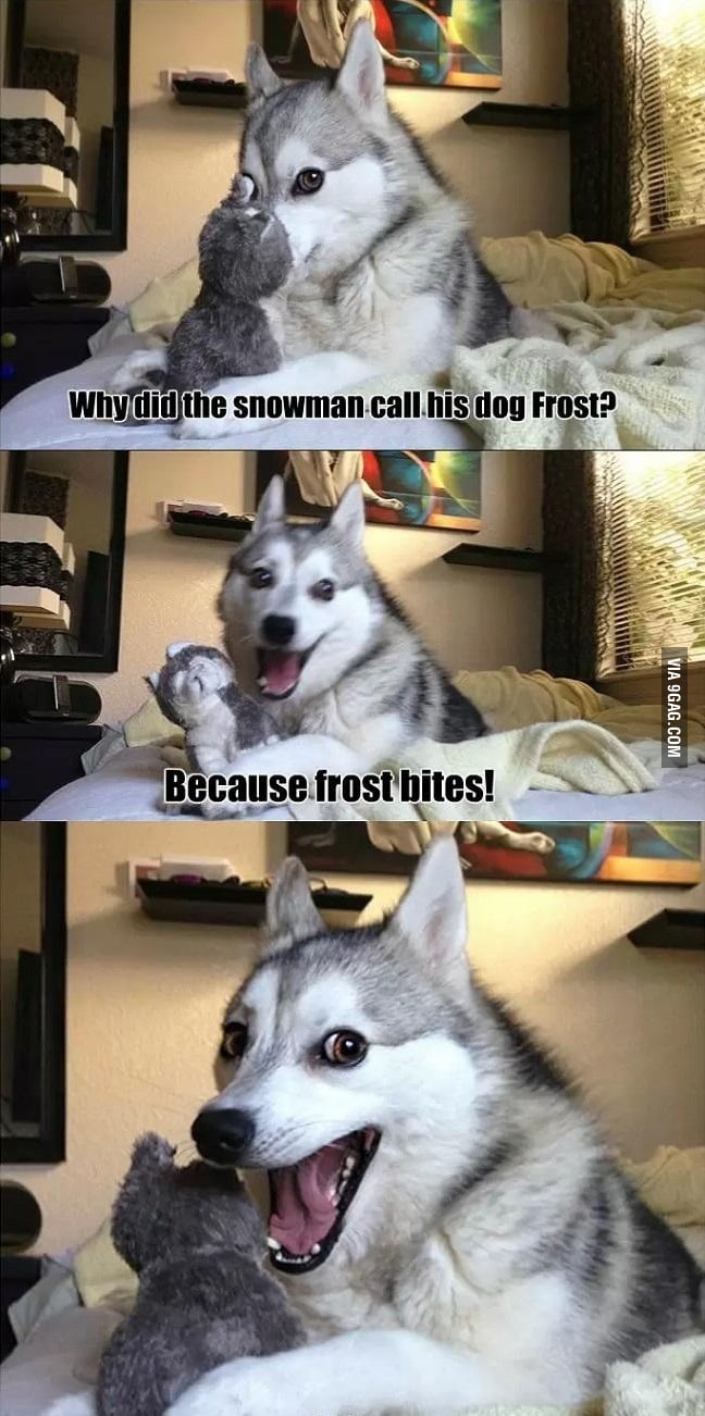 Pun Dog 9gag