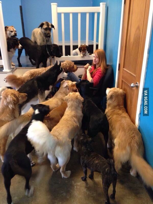 This is what happens when you try to eat beef jerky in a dog daycare ...