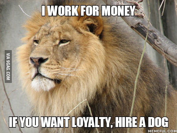 If you want loyalty - buy a dog