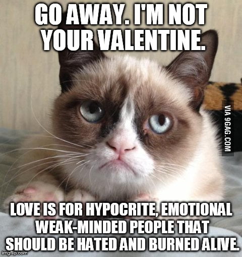 What I think about Valentine's day and love in particular. - 9GAG