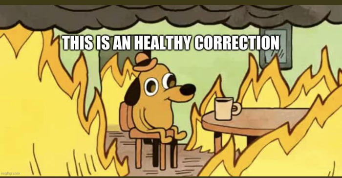 Healthy correction meme Crypto - Source: Telegram / 9gag