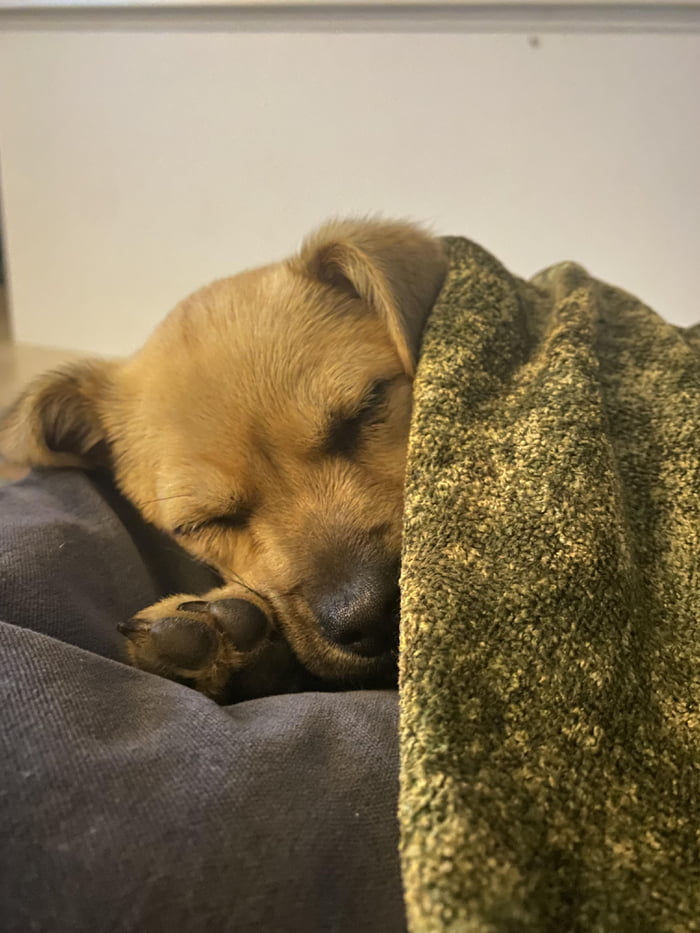 Baths make me tired 9GAG