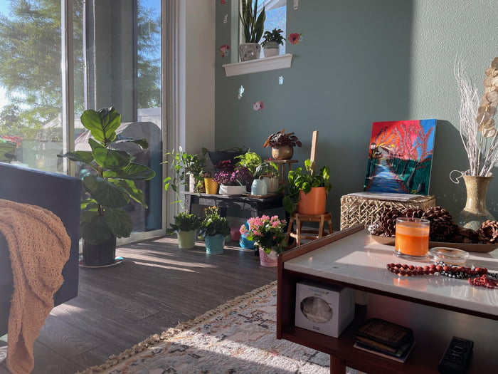 Cozy Plant Corner In Living Room Gag