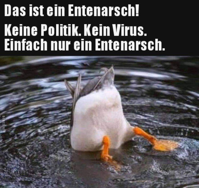 Mal was Anderes... - 9GAG