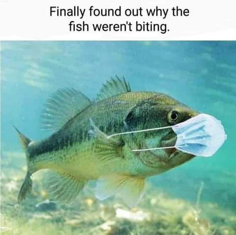 av5z1Wd_700b.jpg