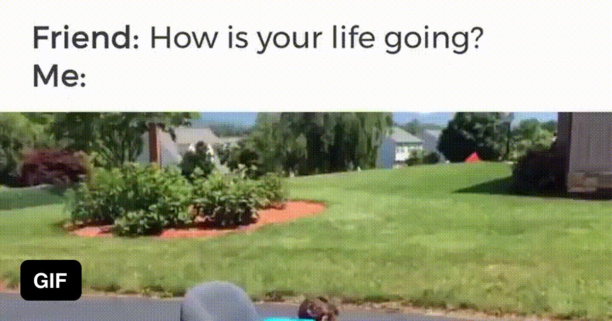 friend-how-is-your-life-going-9gag