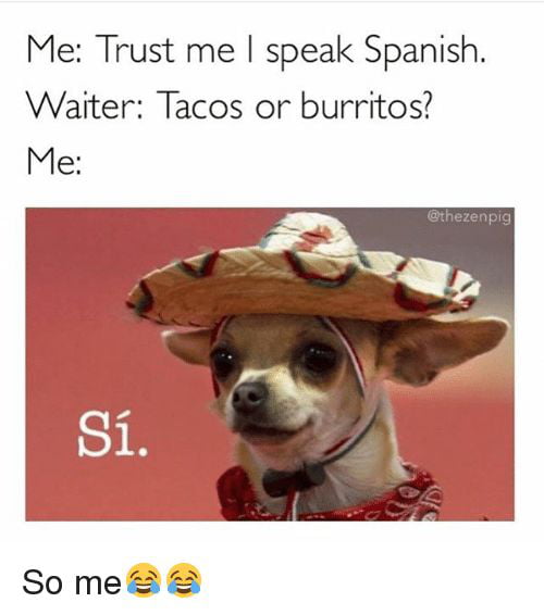 does my dog speak spanish