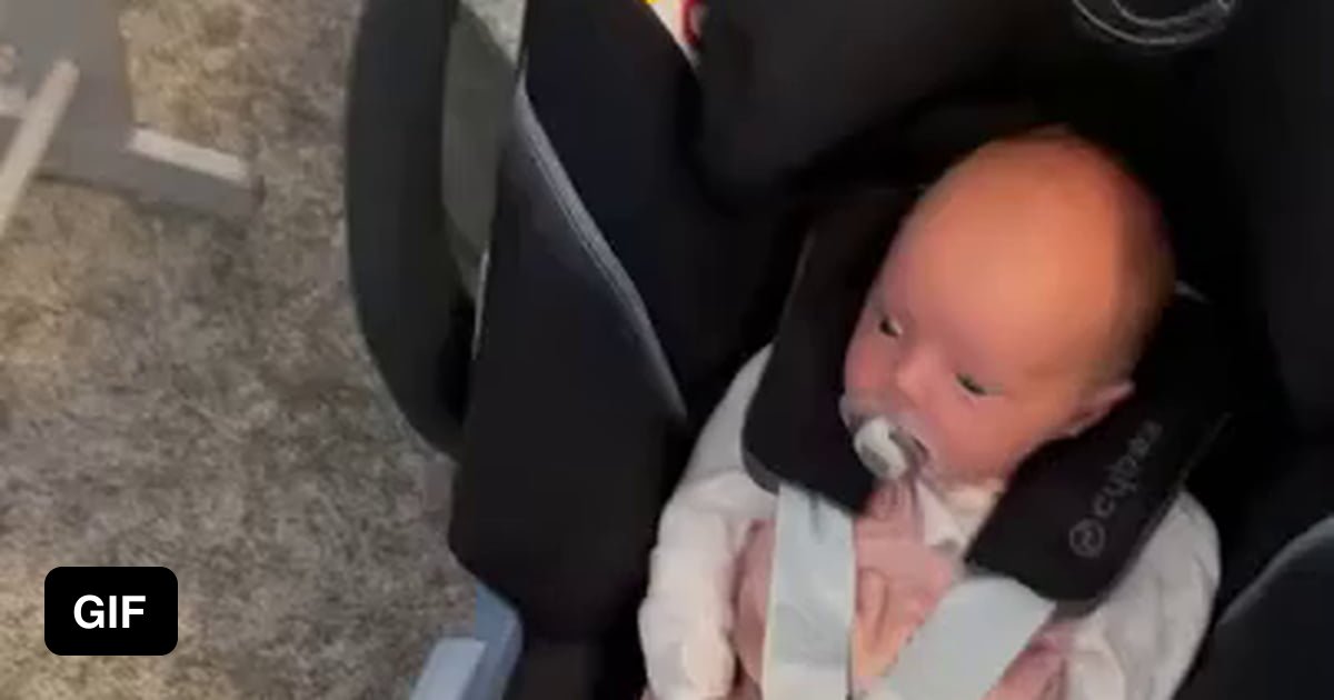 Baby's first reaction after seeing their pet dog - 9GAG
