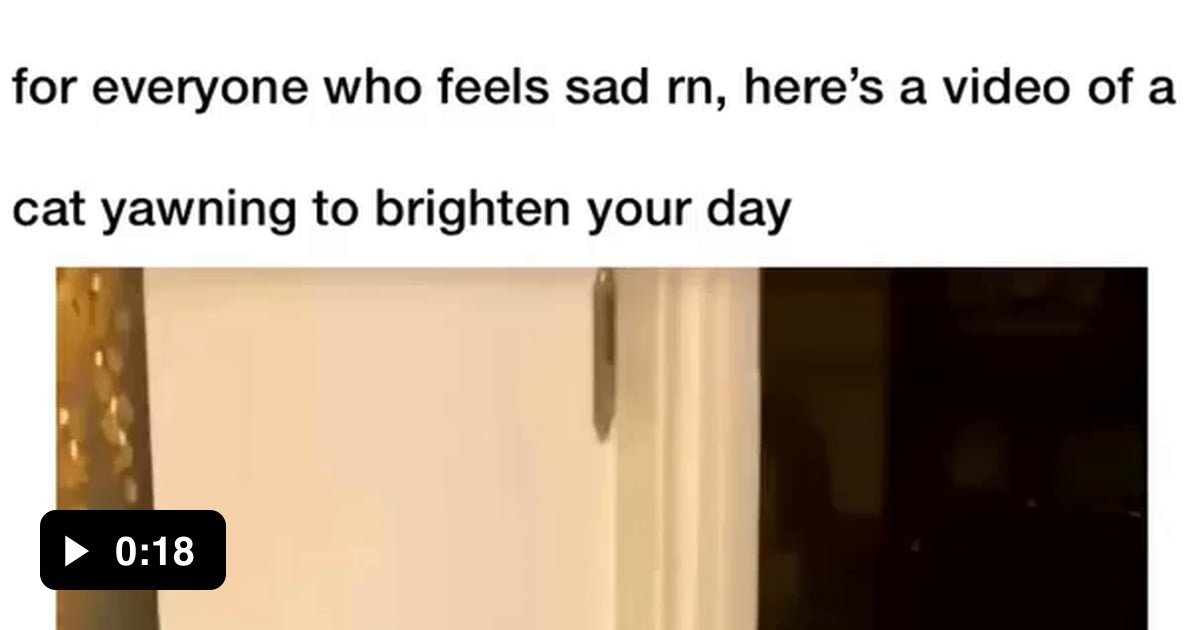 Kitty's here to brighten your day! - 9GAG