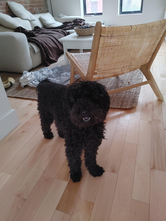 Is Molly smiling or trying to hide something? 9GAG