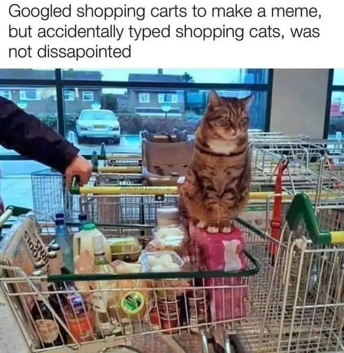 Shopping cats - 9GAG