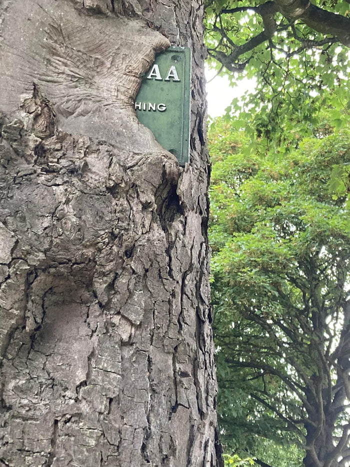 a-bradford-number-1-angling-association-sign-almost-completely