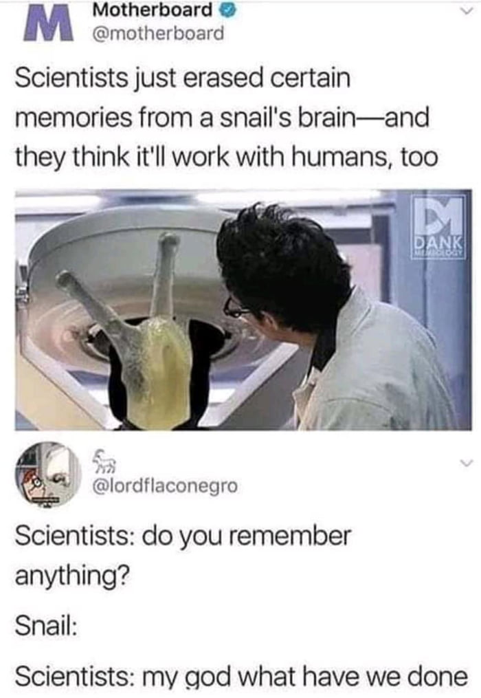 How Do They Do That Video