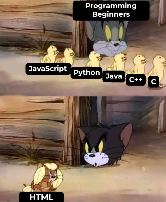 Is HTML still considered a programming language? - 9GAG