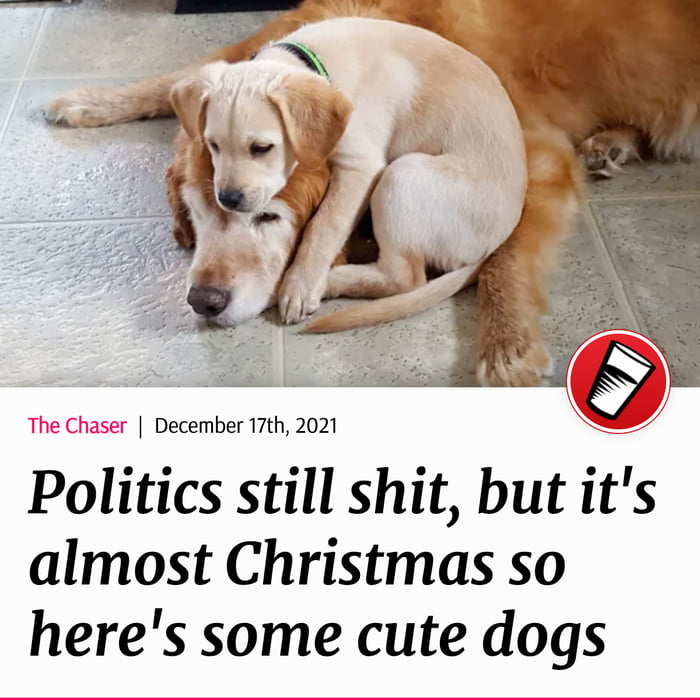 Merry Christmas 9GAG
