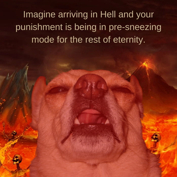 This is true hell. - 9GAG