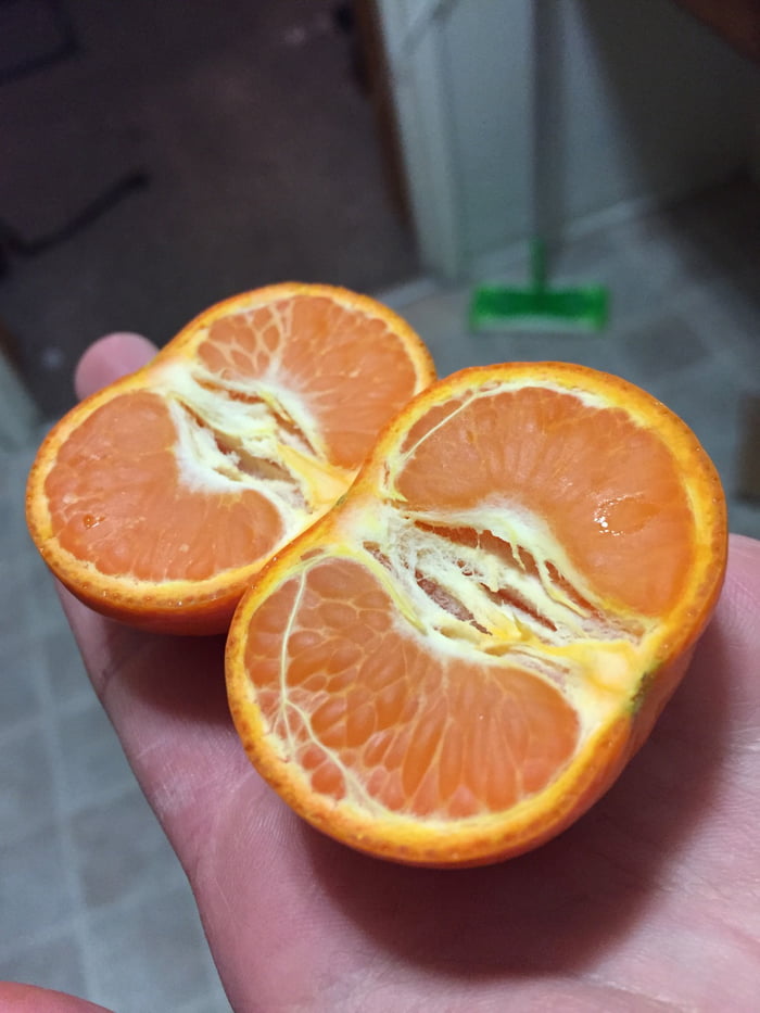 Апельсин в разрезе фото картинки