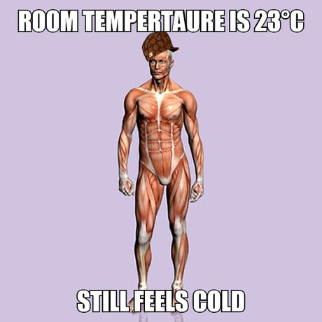 What S The Usual Winter Room Temperature In Your Country 9gag