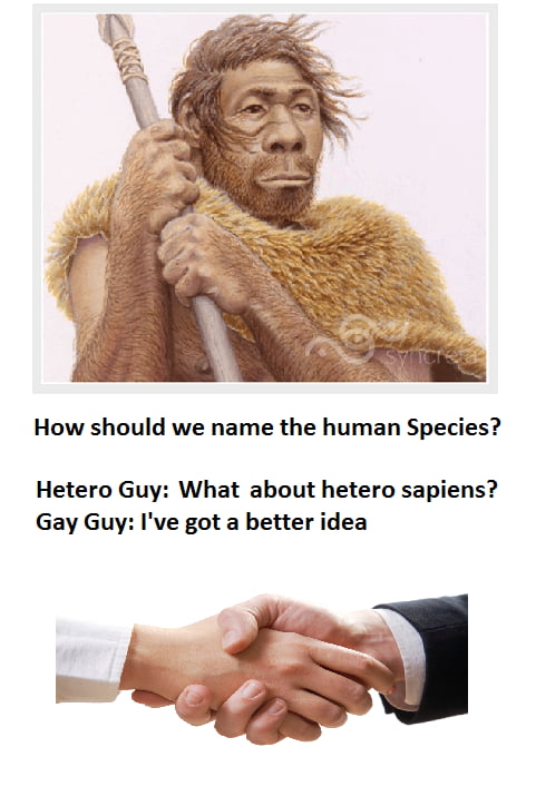 Homo Sapiens - 9GAG