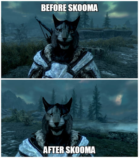 avGpVpM_460s.jpg