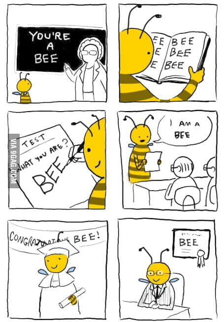 I am a bee. - 9GAG