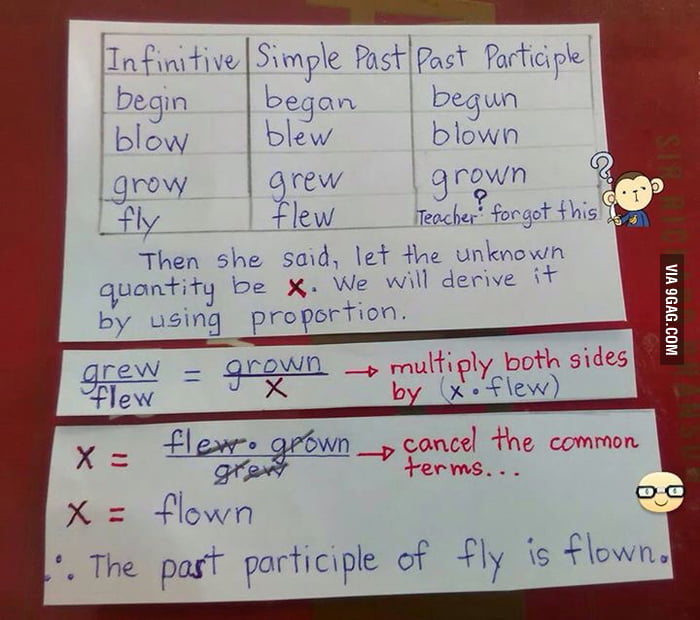 math-teacher-who-forgot-the-past-participle-of-the-word-fly-9gag