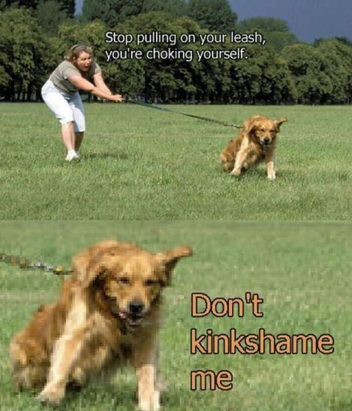 Dogs have rights 9GAG