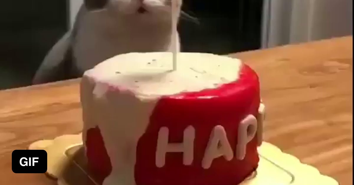 the-way-this-cat-puts-out-the-candle-9gag